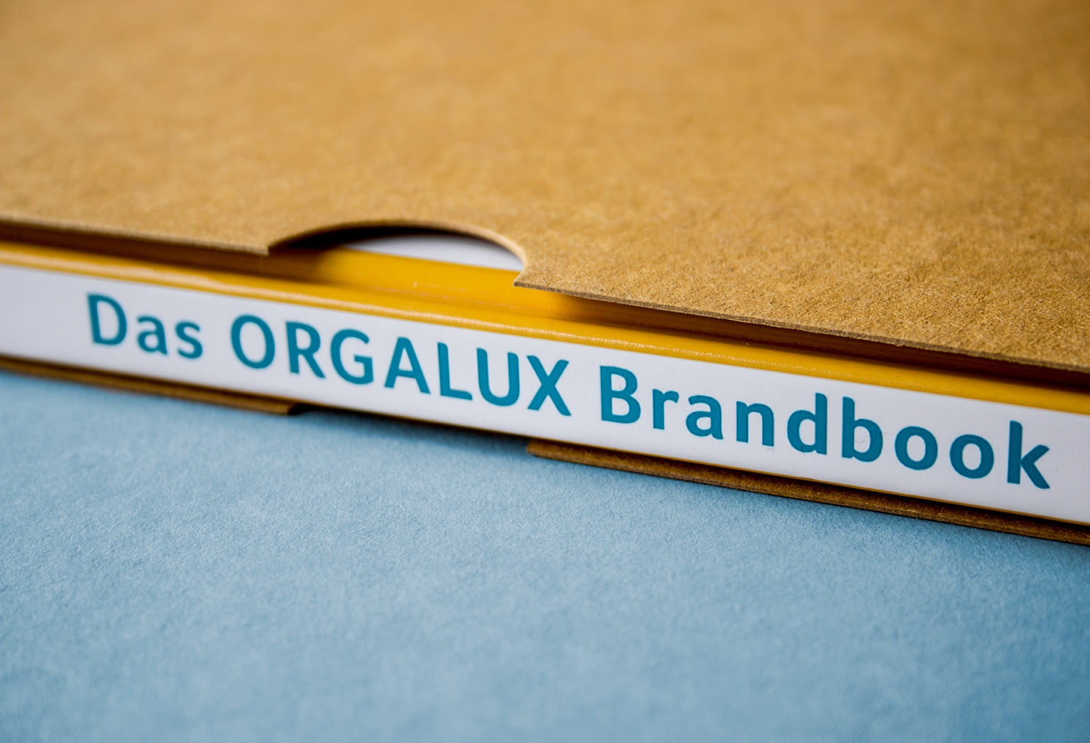 CD Manual, Brandbook für die Marke Orgalux